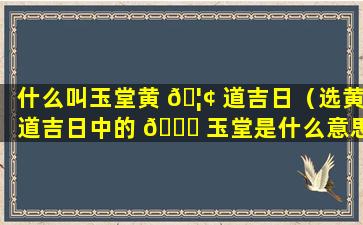 什么叫玉堂黄 🦢 道吉日（选黄道吉日中的 🐝 玉堂是什么意思）